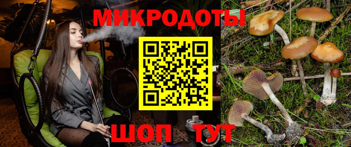 Пугачёв  Галлюциногенные грибы мицелий  Вход с VPN 