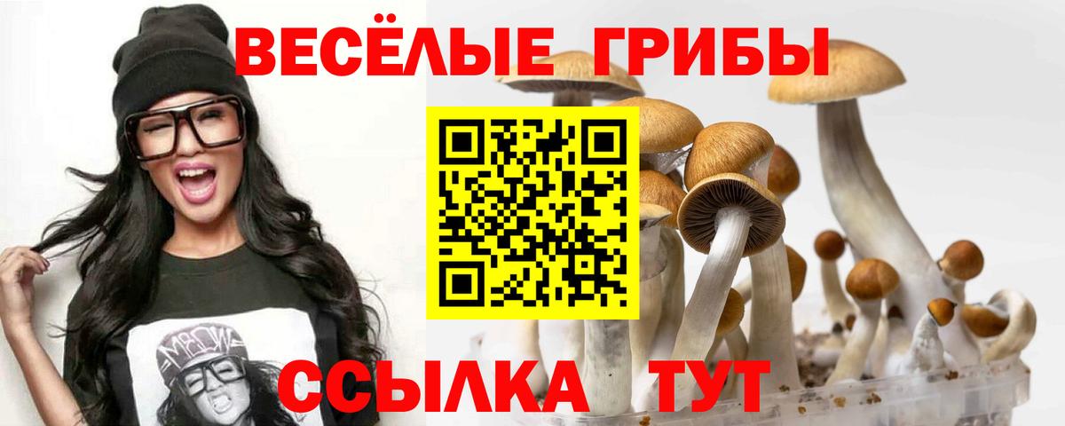 Галлюциногенные грибы ЛСД Пугачёв
